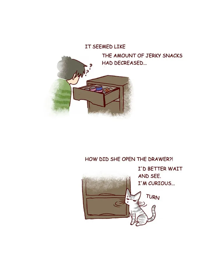 My Kitty and Old Dog Chapter 207 page 3 - 