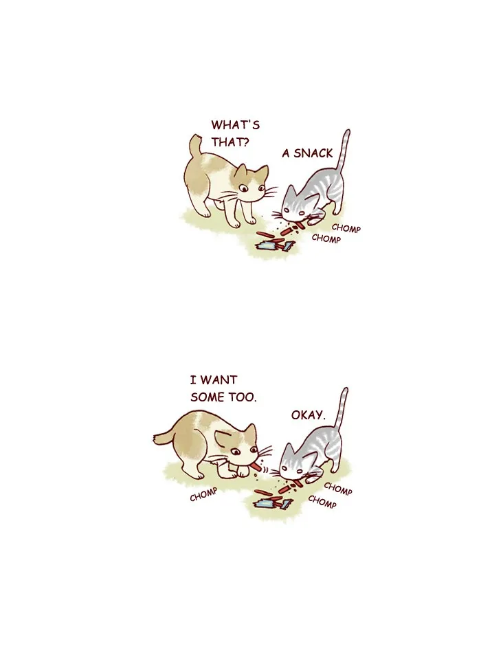 My Kitty and Old Dog Chapter 207 page 7 - 