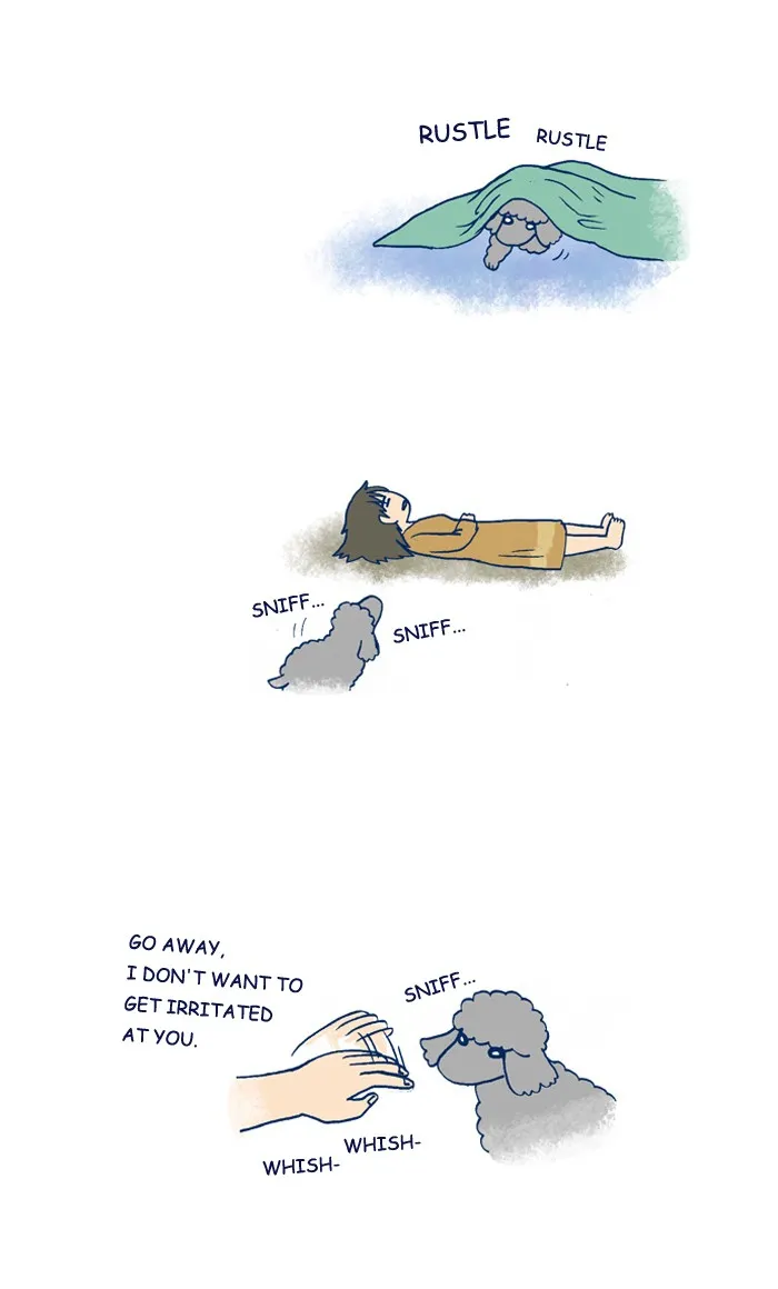 My Kitty and Old Dog Chapter 208 page 3 - 