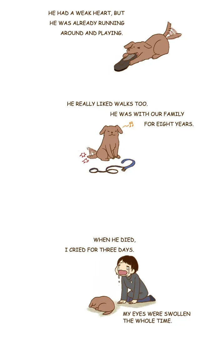 My Kitty and Old Dog Chapter 209 page 2 - 