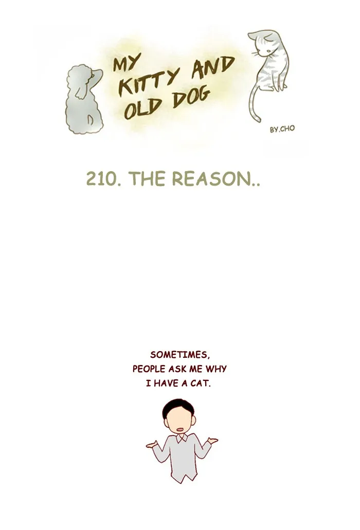 My Kitty and Old Dog Chapter 210 page 1 - 