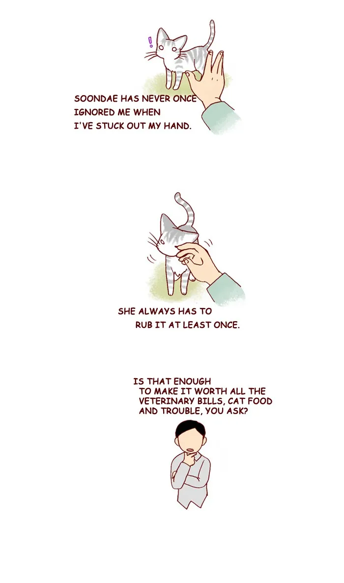 My Kitty and Old Dog Chapter 210 page 3 - 