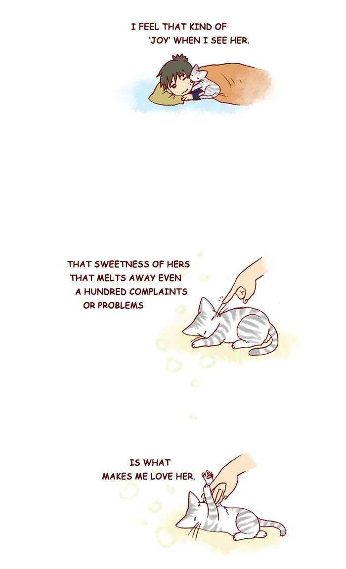 My Kitty and Old Dog Chapter 210 page 5 - 