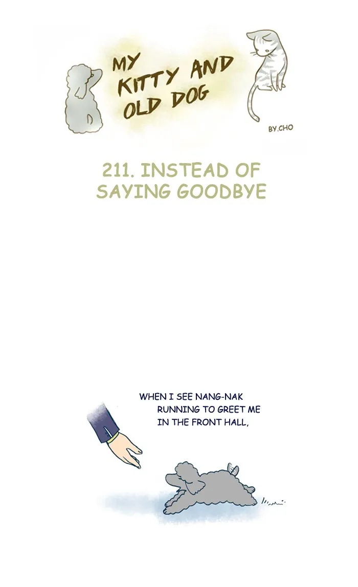 My Kitty and Old Dog Chapter 211 page 1 - 