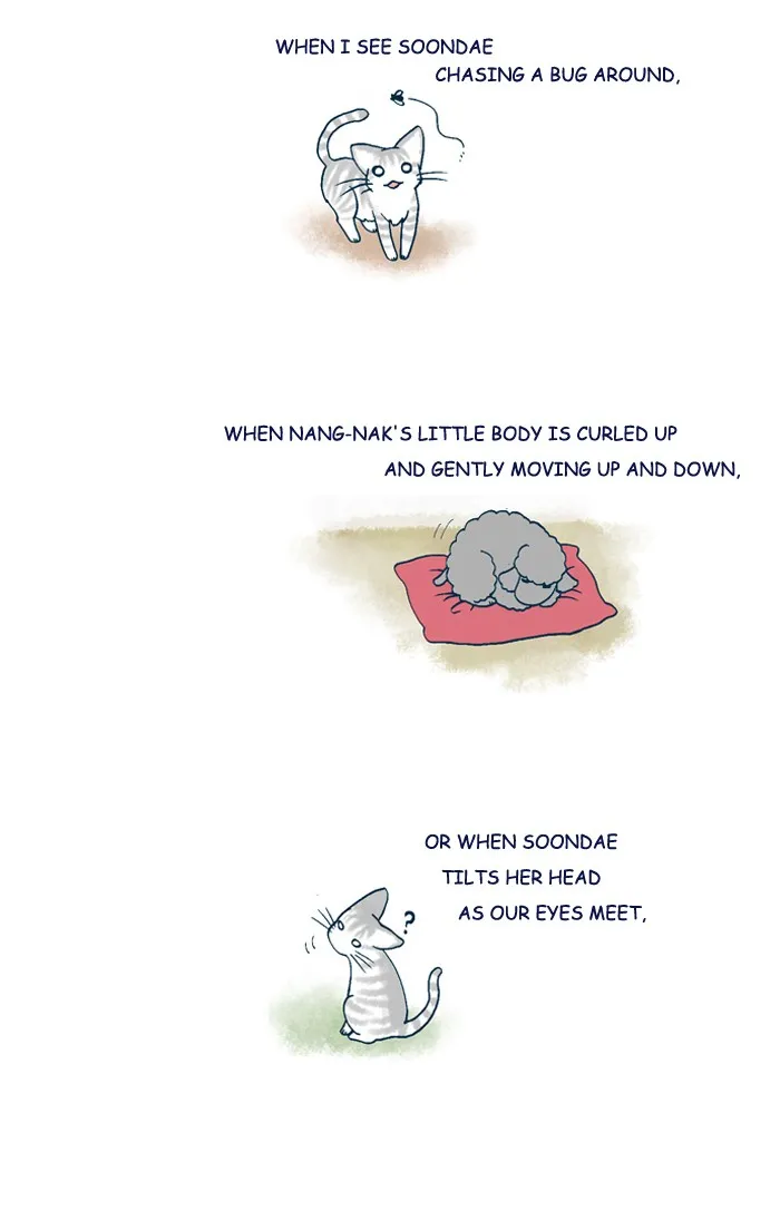 My Kitty and Old Dog Chapter 211 page 2 - 