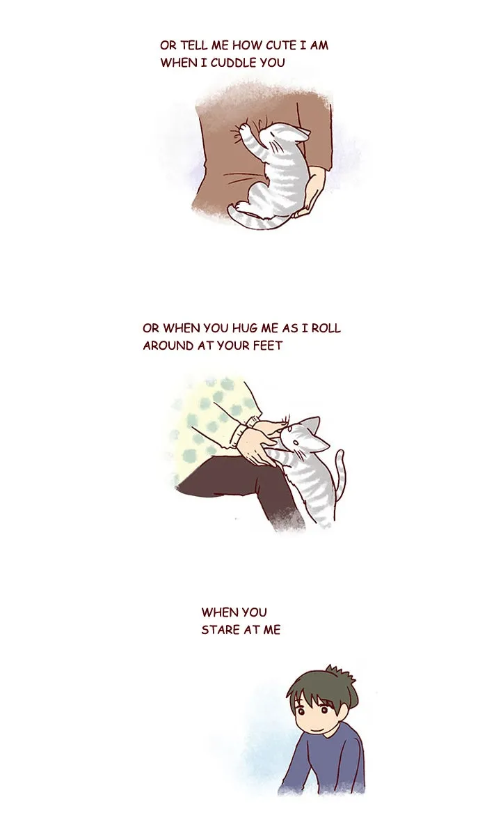 My Kitty and Old Dog Chapter 212 page 2 - 