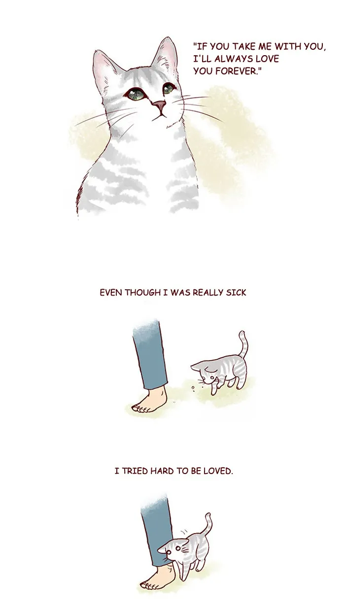 My Kitty and Old Dog Chapter 212 page 5 - 