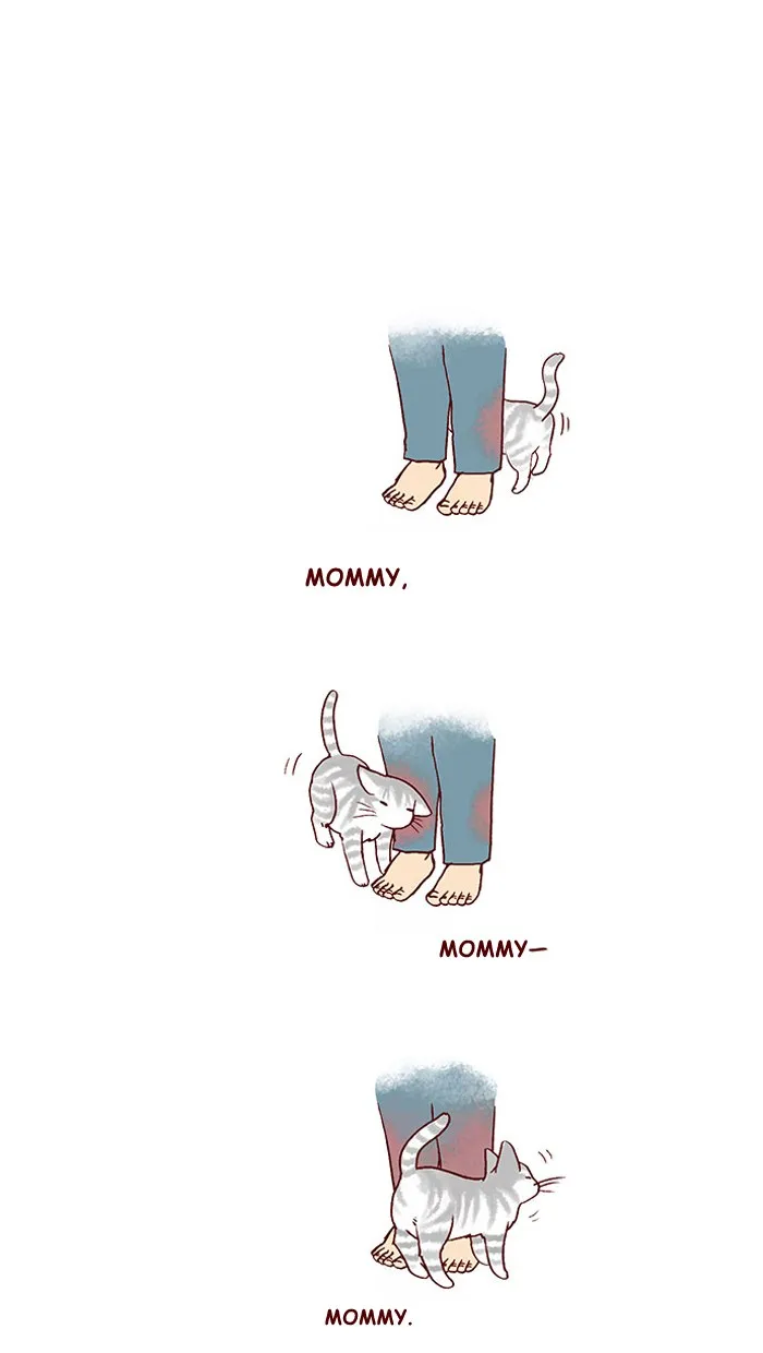 My Kitty and Old Dog Chapter 212 page 6 - 