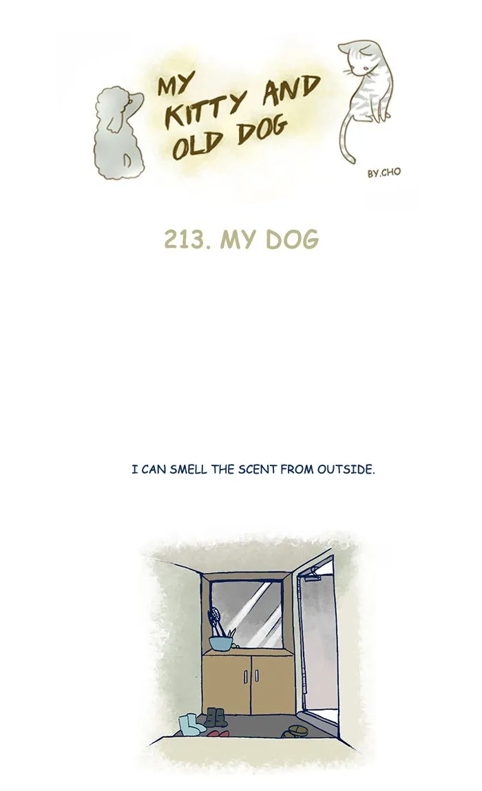 My Kitty and Old Dog Chapter 213 page 1 - 