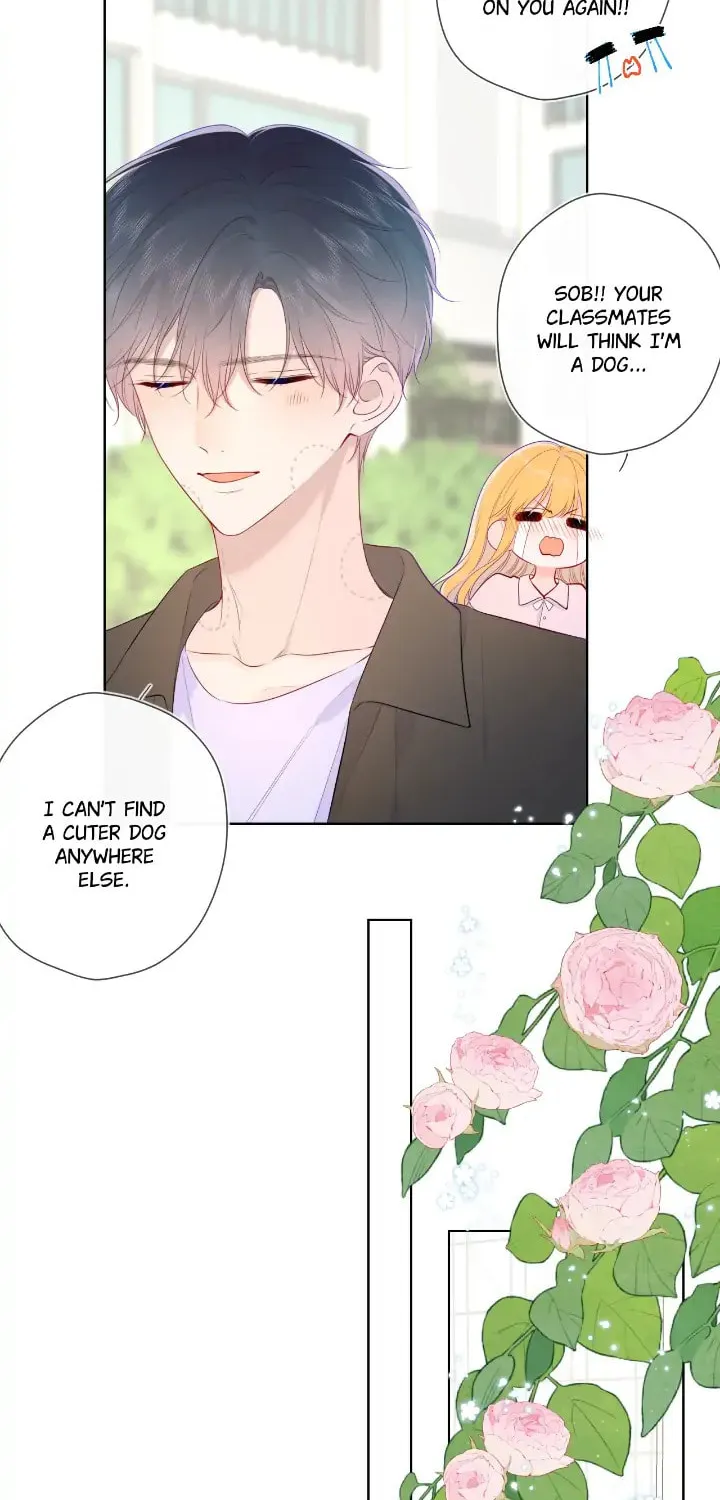 My Lucky Star (Quan Yi) (Colored) Chapter 104 page 3 - 