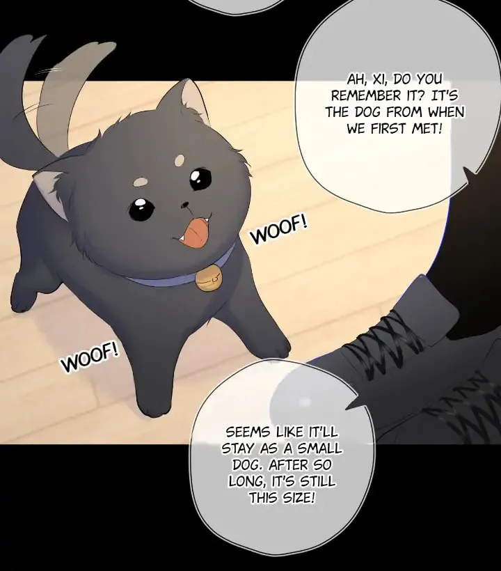 My Lucky Star (Quan Yi) (Colored) Chapter 110 page 10 - 