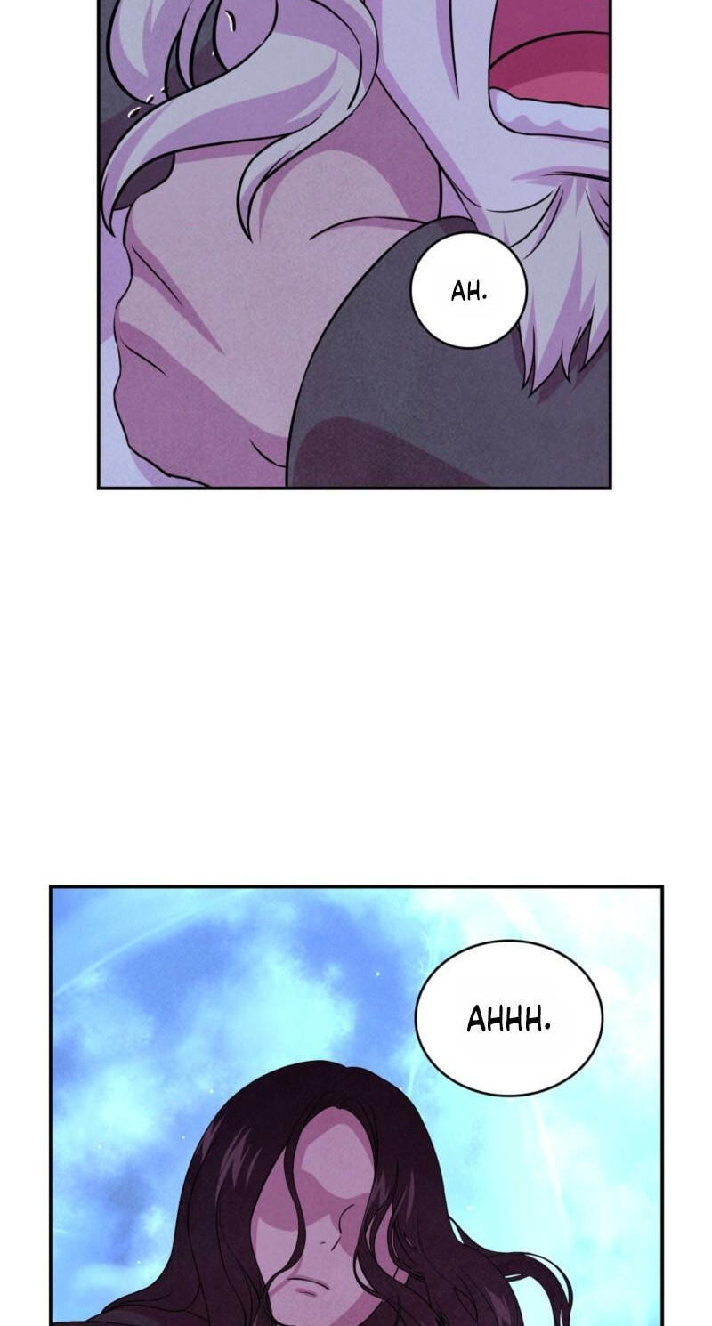 My Master Doesn’t Bite People Chapter 46 page 4 - 