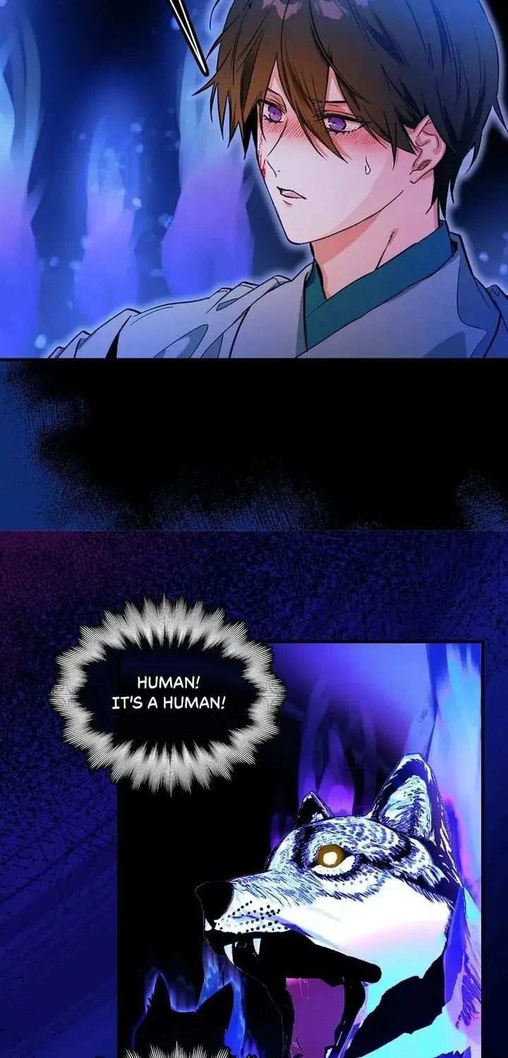 My Master, the Wolf Queen Chapter 74 page 7 - 