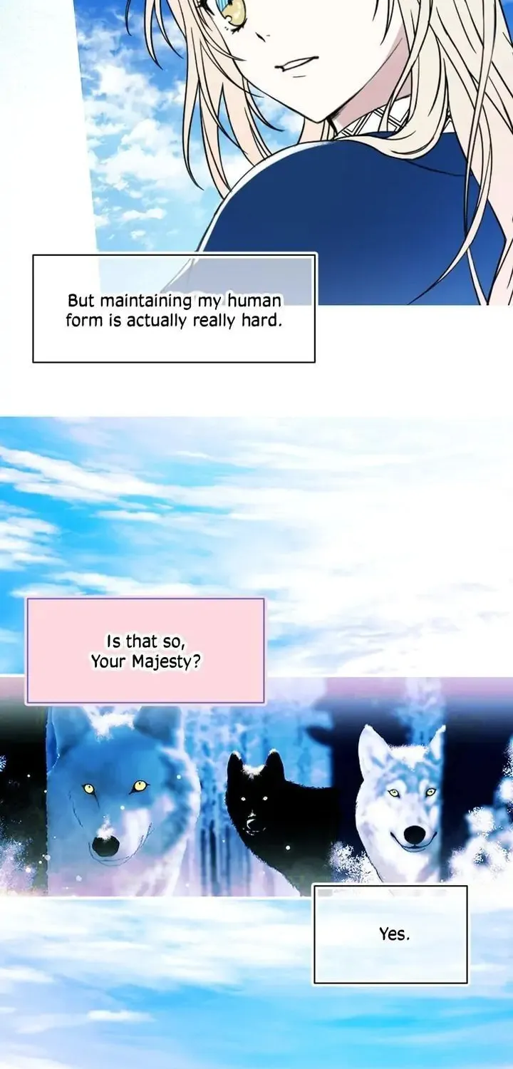 My Master, the Wolf Queen Chapter 78 page 4 - 