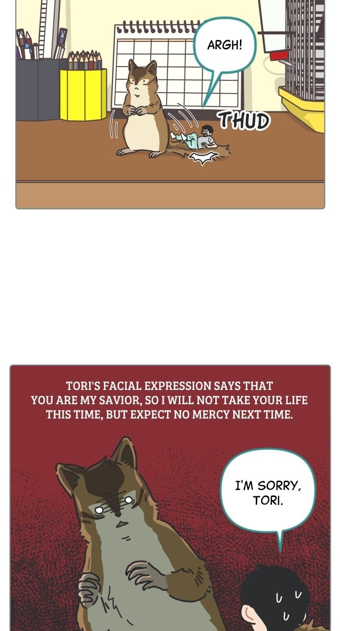 My Miniature Life Manual Chapter 29 page 49 - 