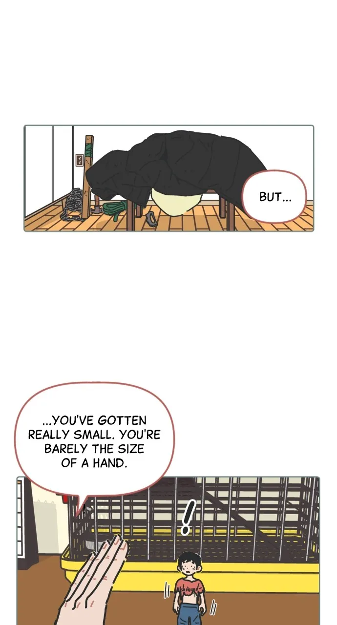 My Miniature Life Manual Chapter 8 page 10 - 