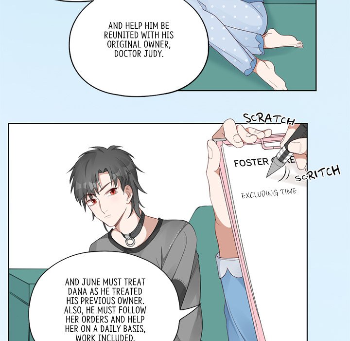 My New Pet Cat My New Pet Cat EP 21 - Toomics page 60 - 