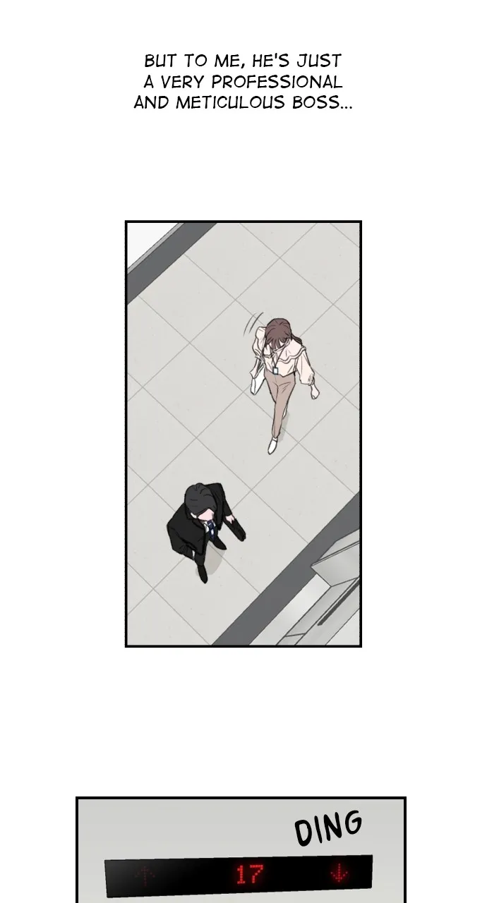 My Office Rebound Marriage Chapter 1 page 19 - 