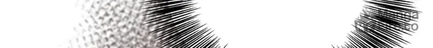 My Prince's Healing Touch Chapter 101 page 72 - 