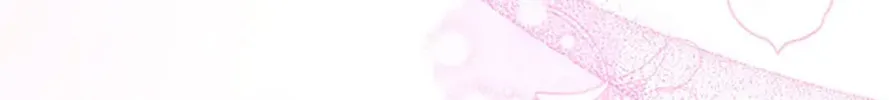 My Prince's Healing Touch Chapter 81 page 44 - 