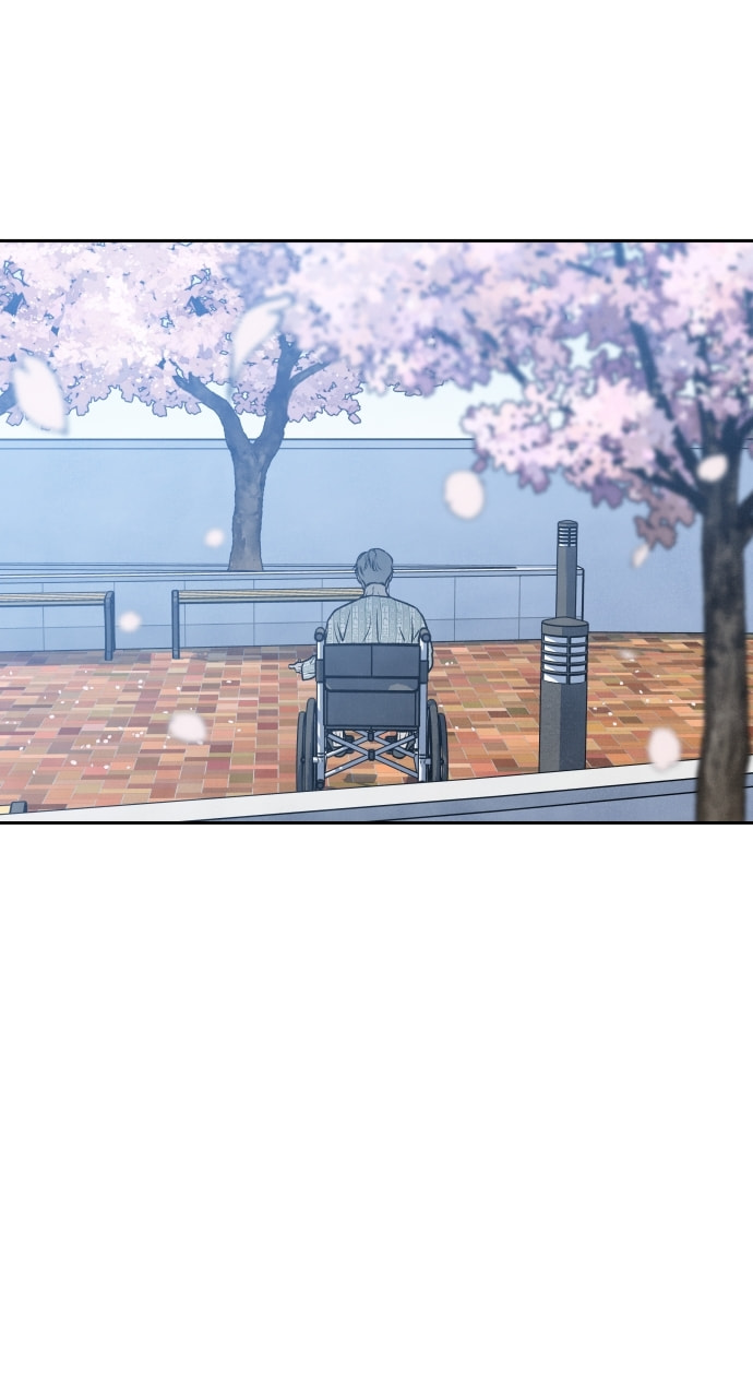 My Reason to Die Chapter 98 page 71 - 