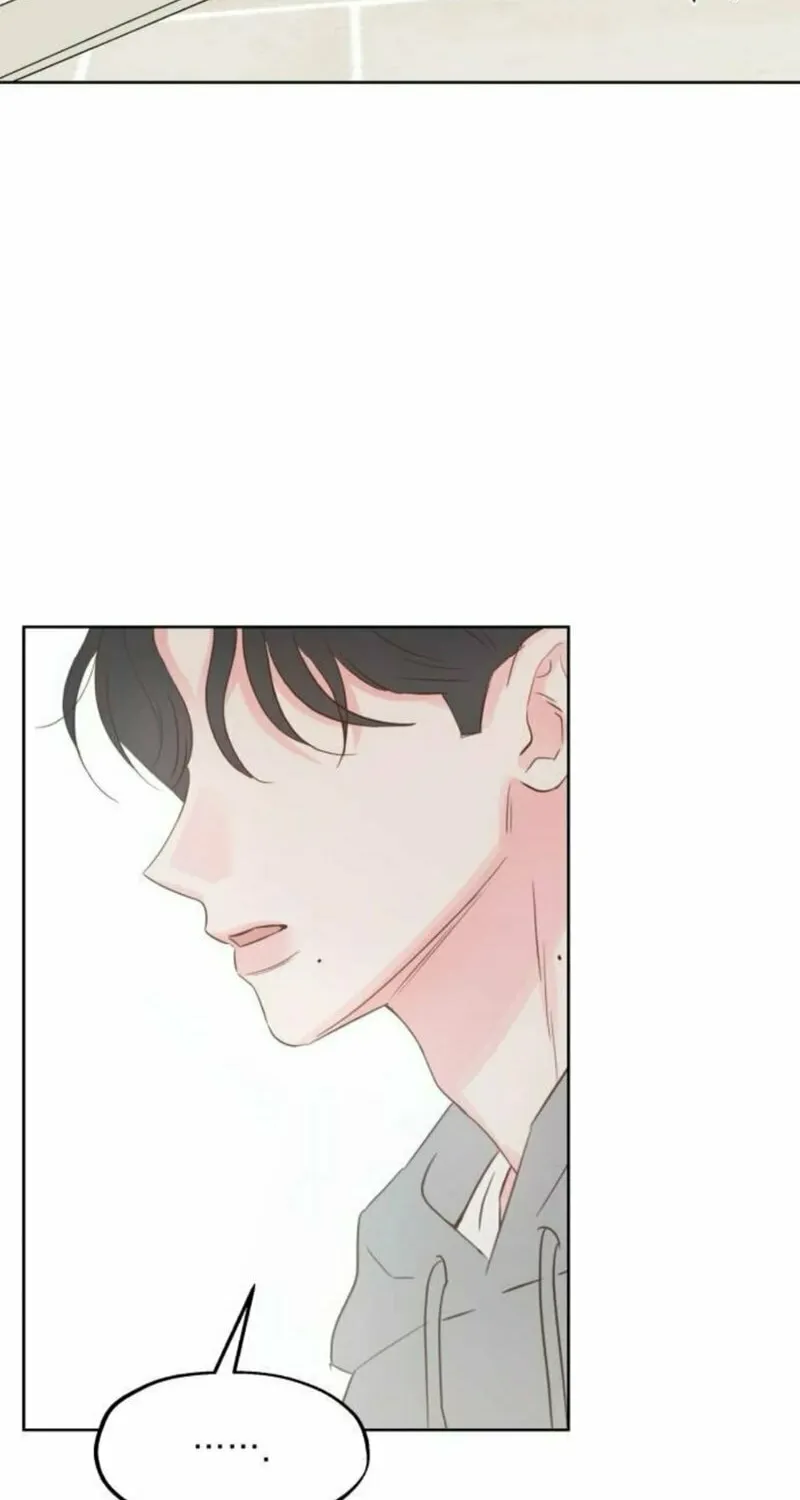 My Salty Love Chapter 11 page 45 - 