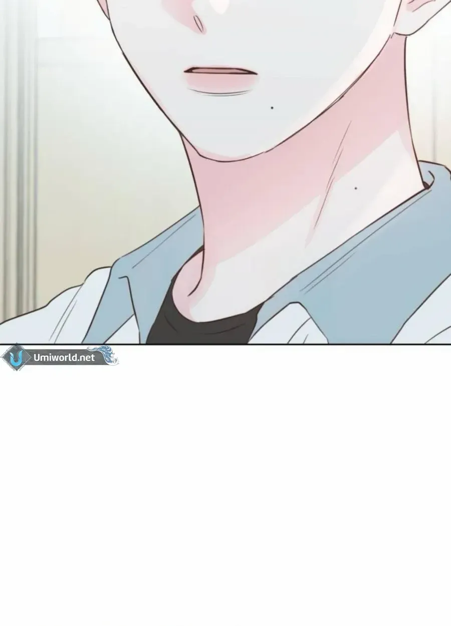 My Salty Love Chapter 24 page 43 - 