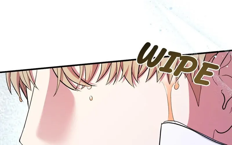 My Second First Marriage Chapter 13 page 15 - 