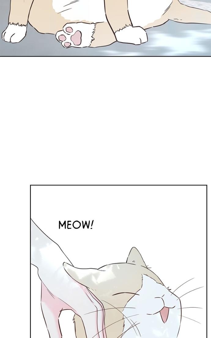 My Secret Crush Chapter 35 page 12 - 