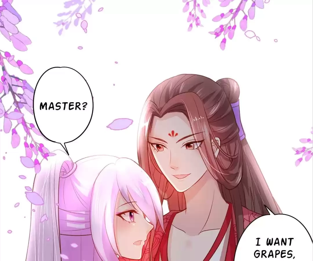 My Snapping Fox Lord Chapter 108 page 1 - 