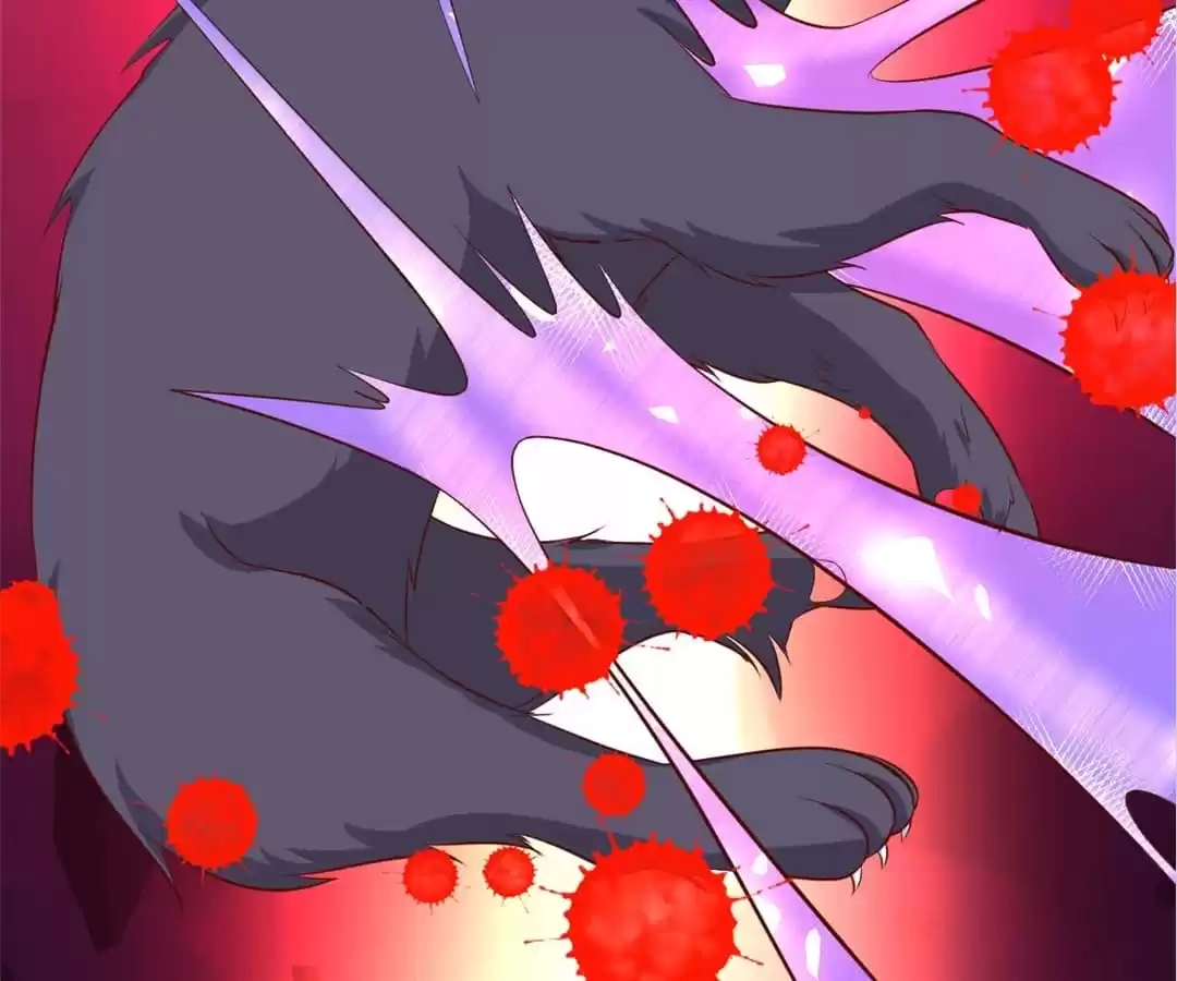 My Snapping Fox Lord Chapter 136 page 69 - 