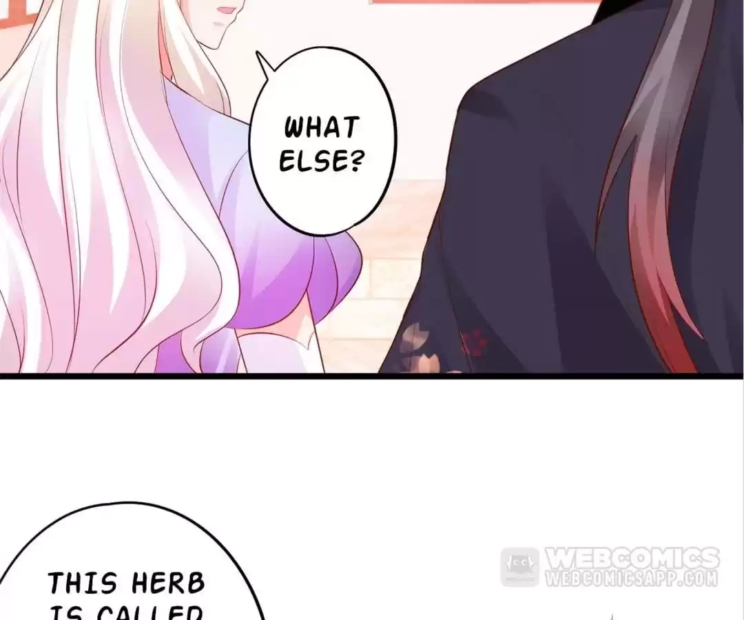 My Snapping Fox Lord Chapter 137 page 48 - 
