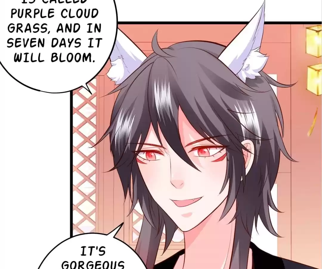 My Snapping Fox Lord Chapter 137 page 49 - 