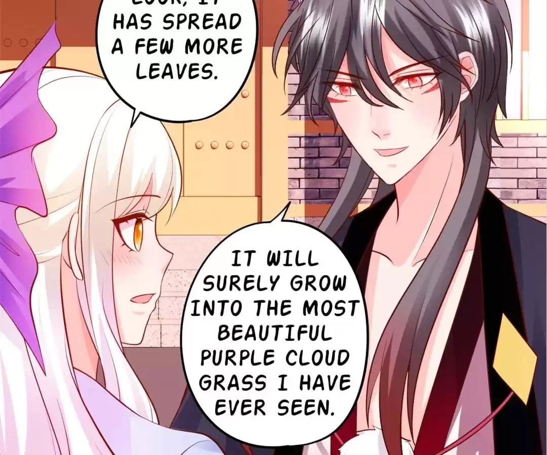 My Snapping Fox Lord Chapter 137 page 71 - 