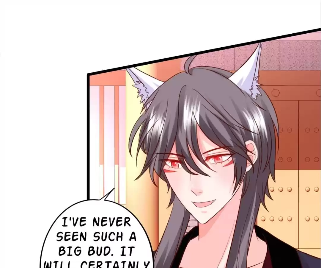 My Snapping Fox Lord Chapter 138 page 4 - 