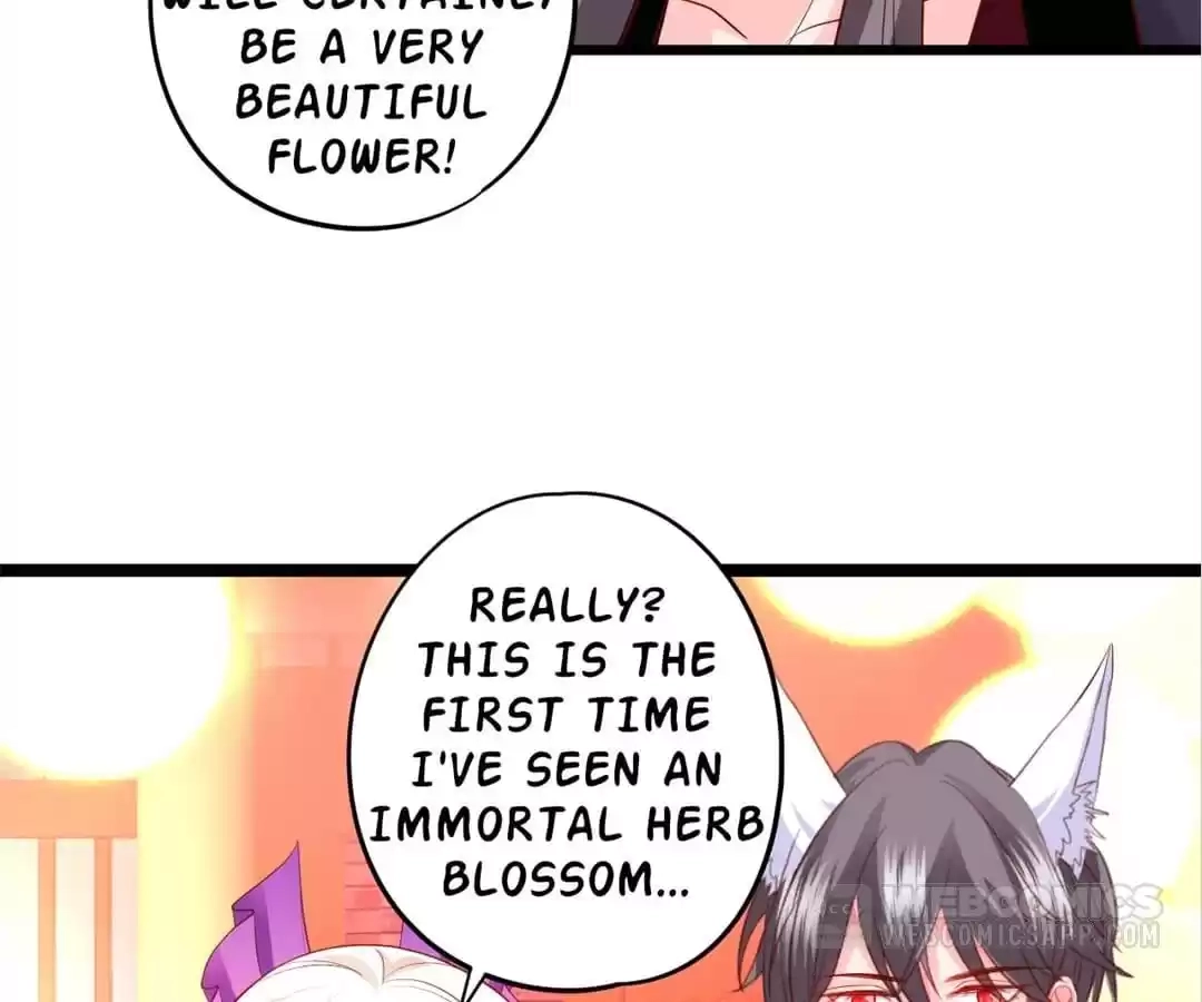 My Snapping Fox Lord Chapter 138 page 5 - 