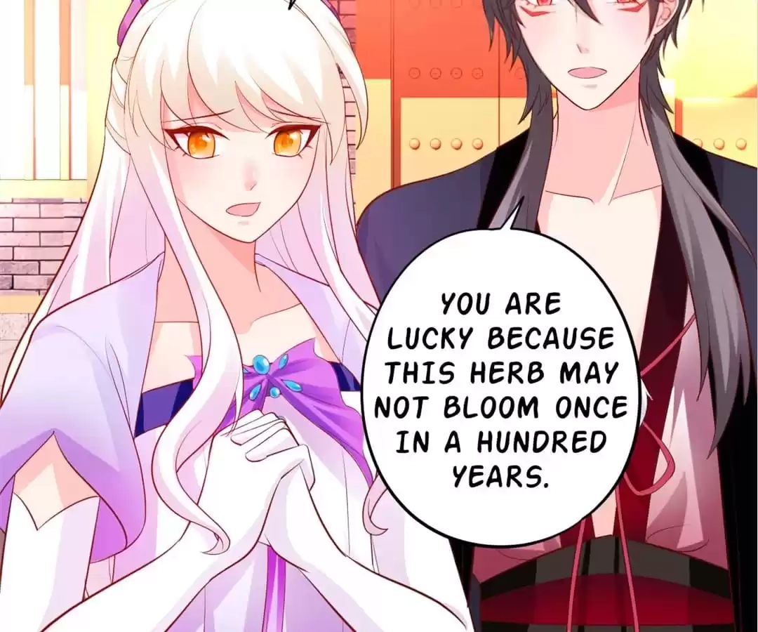 My Snapping Fox Lord Chapter 138 page 6 - 