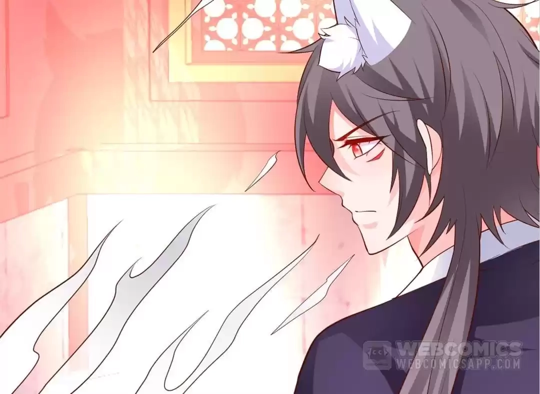 My Snapping Fox Lord Chapter 155 page 13 - 