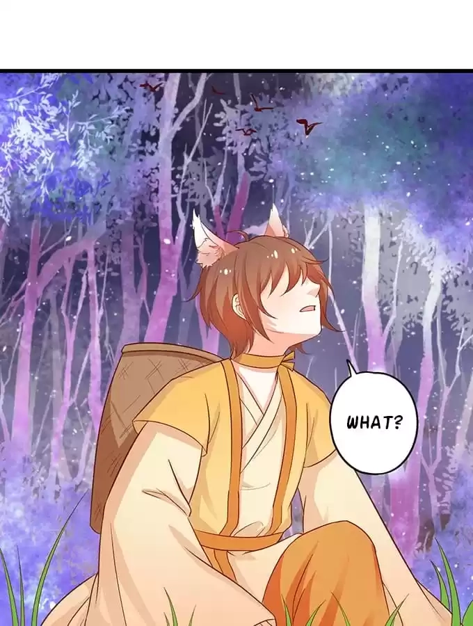 My Snapping Fox Lord Chapter 74 page 88 - 