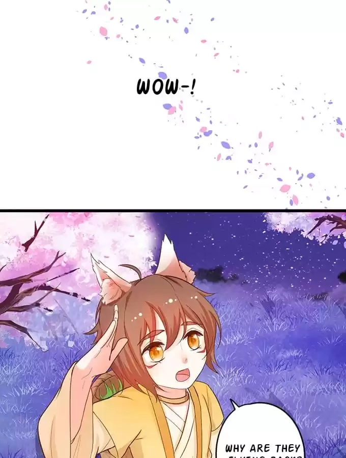 My Snapping Fox Lord Chapter 75 page 14 - 