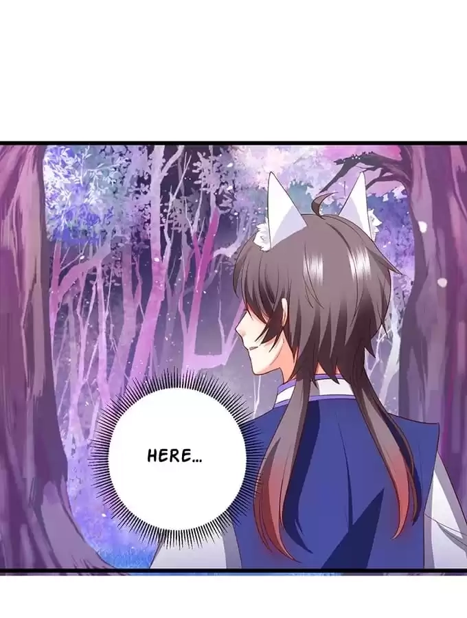 My Snapping Fox Lord Chapter 77 page 8 - 
