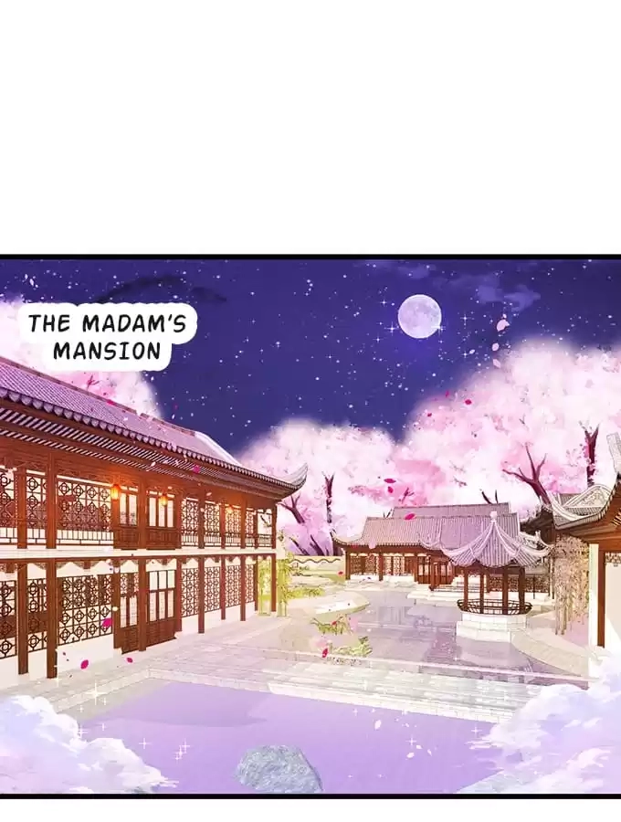 My Snapping Fox Lord Chapter 81 page 5 - 