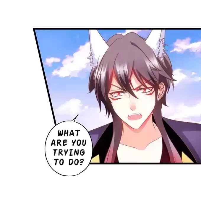 My Snapping Fox Lord Chapter 97 page 65 - 