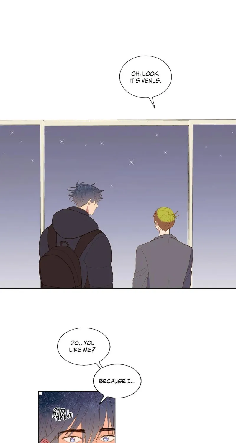My Starry Sky Chapter 62 page 77 - 