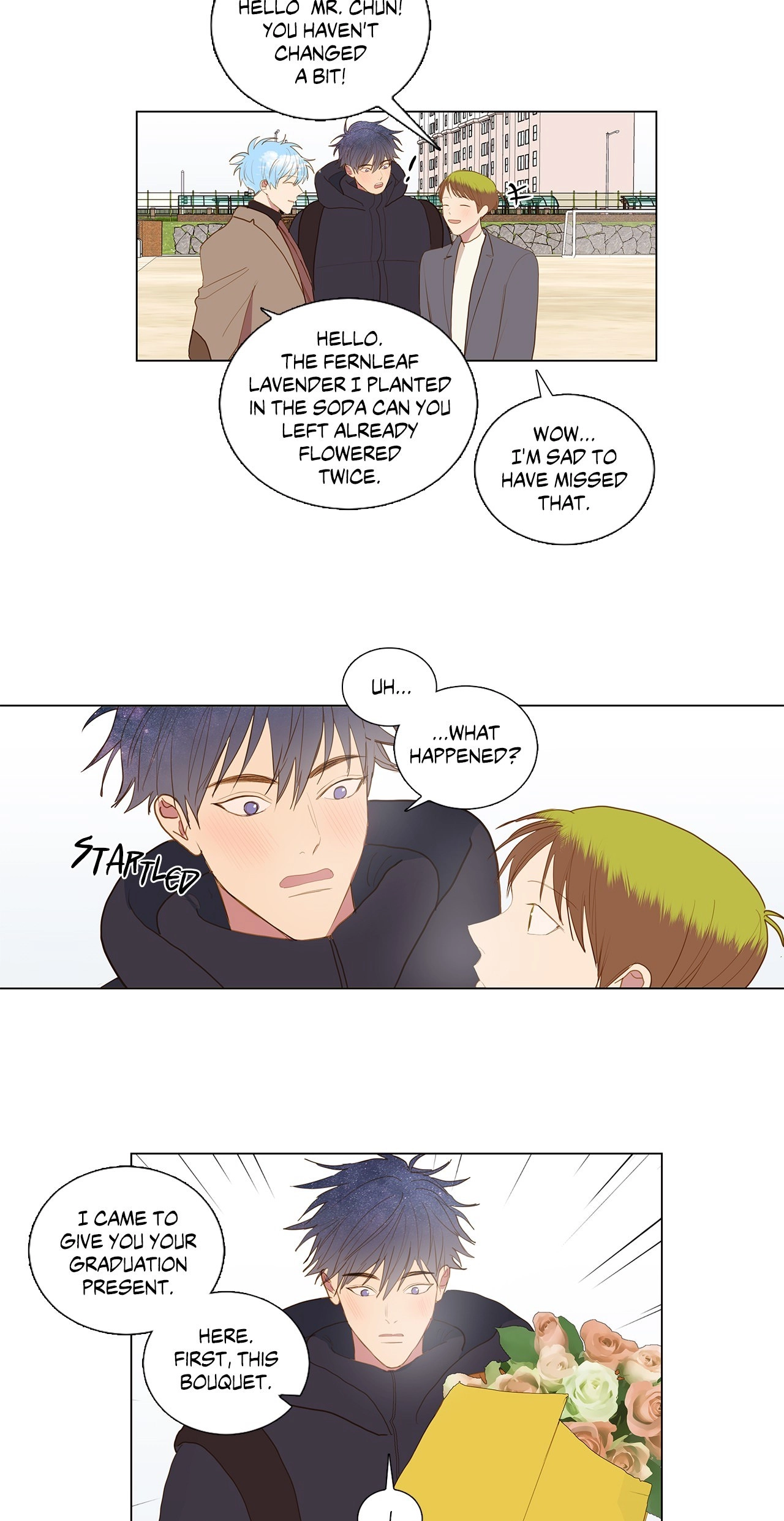 My Starry Sky Chapter 66 page 41 - 