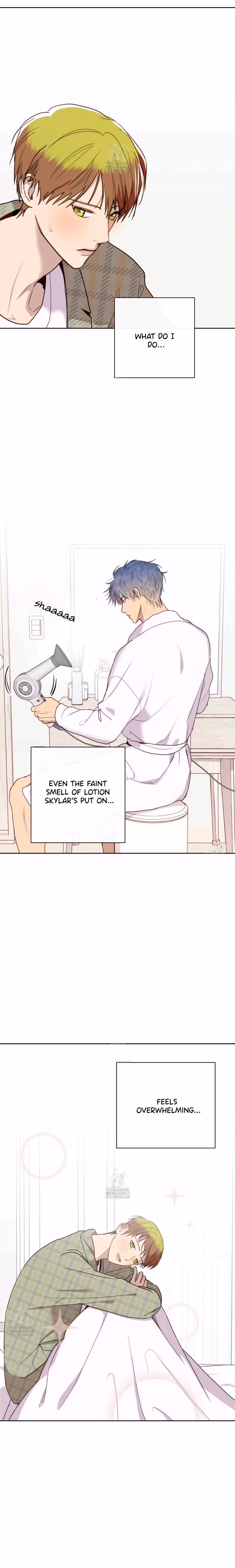 My Starry Sky Chapter 76 page 5 - 