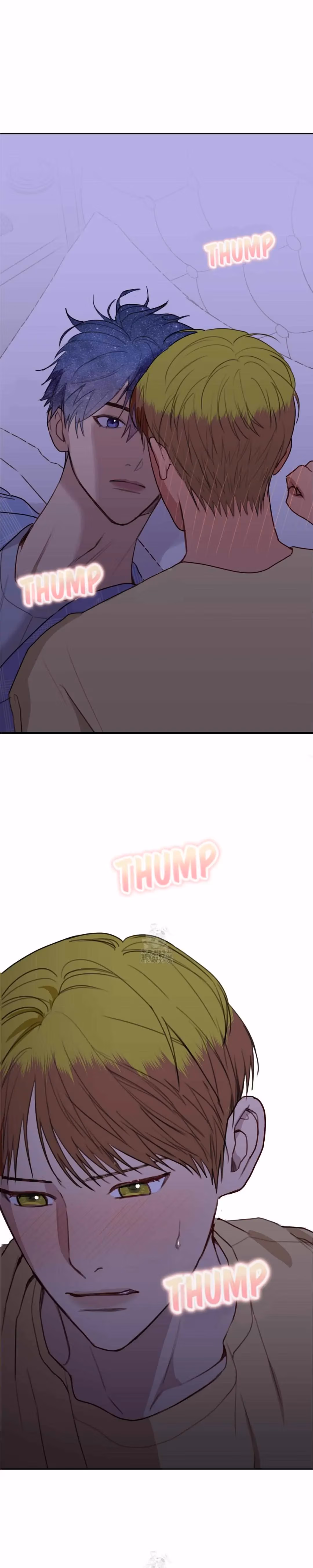 My Starry Sky Chapter 78 page 1 - 