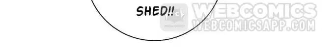 My Vampire Lover Chapter 80 page 29 - 