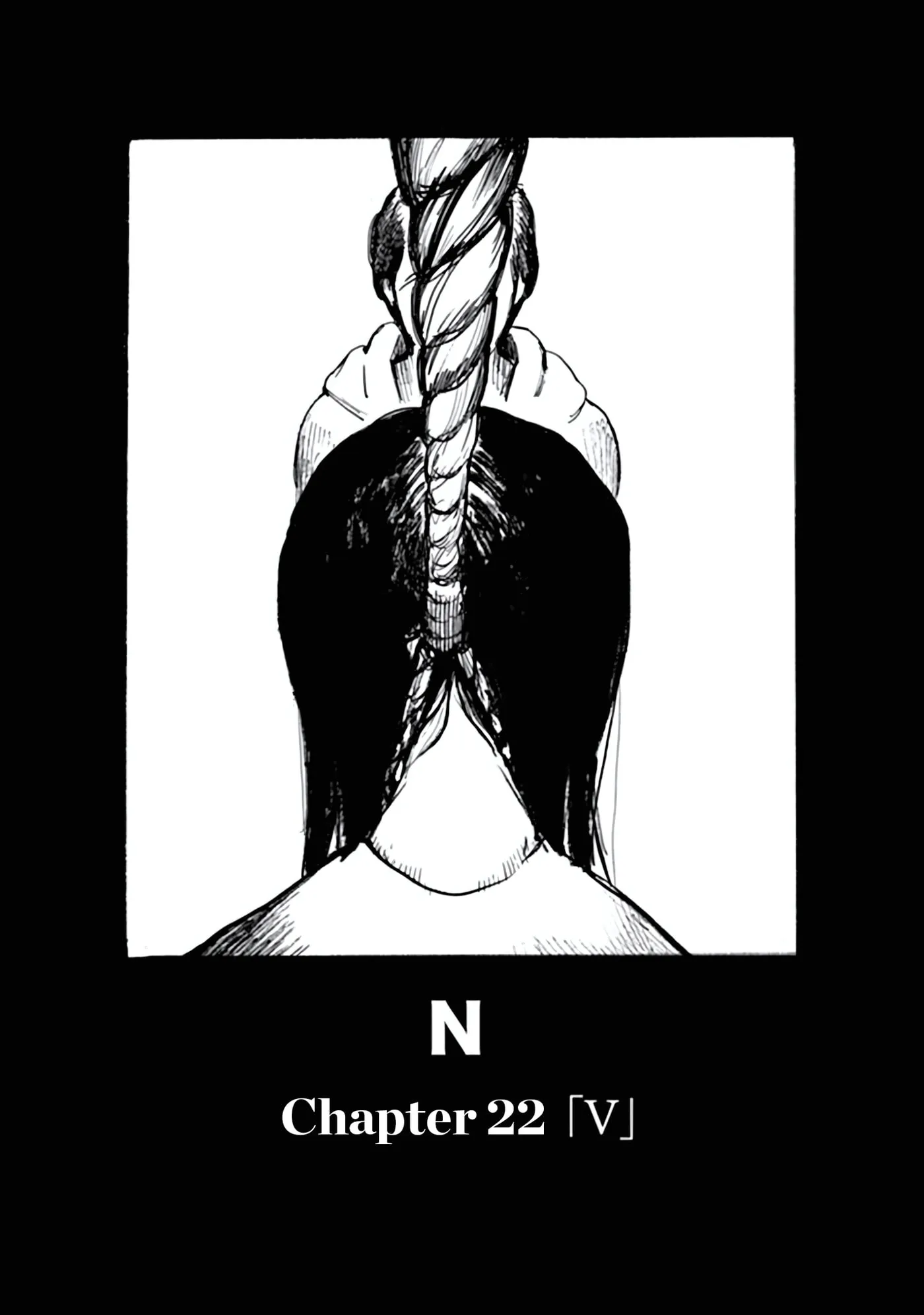 N Chapter 22 page 19 - 