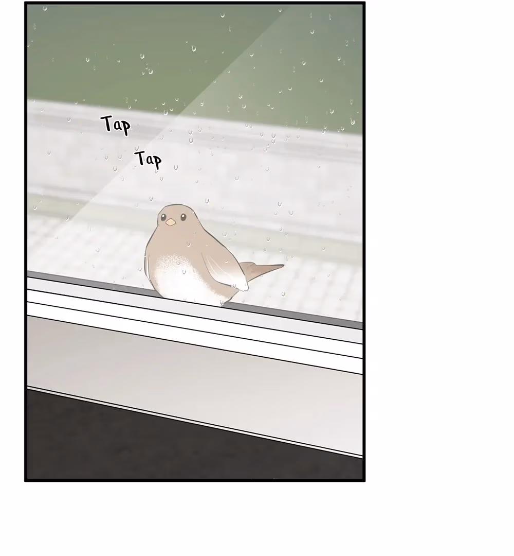 Nameless Flower Chapter 48 page 135 - 
